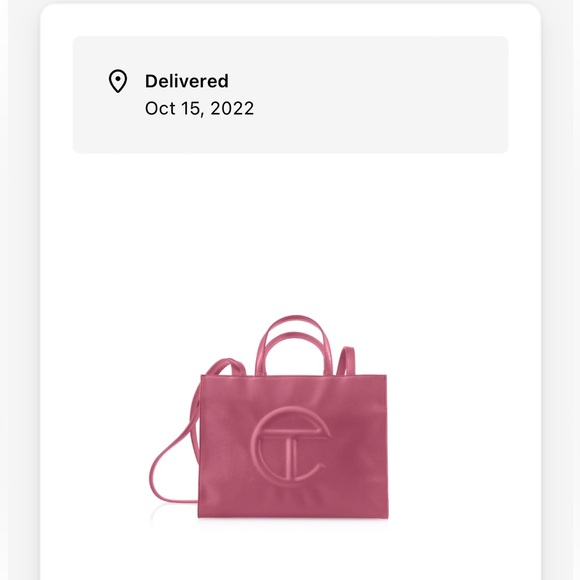 Medium sized Telfar bag. Sold out on Telfar - Picture 3 of 3